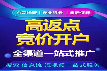 SEM广告投放策略：成功案例解析